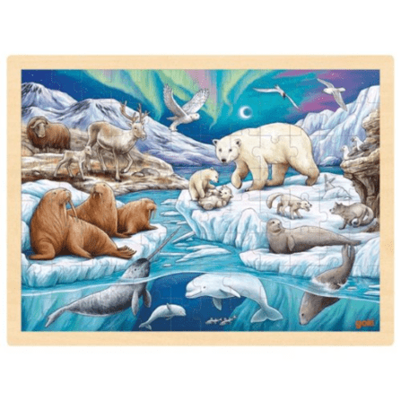 GoKi 57328 Einlegepuzzle Polarnacht, 40x30