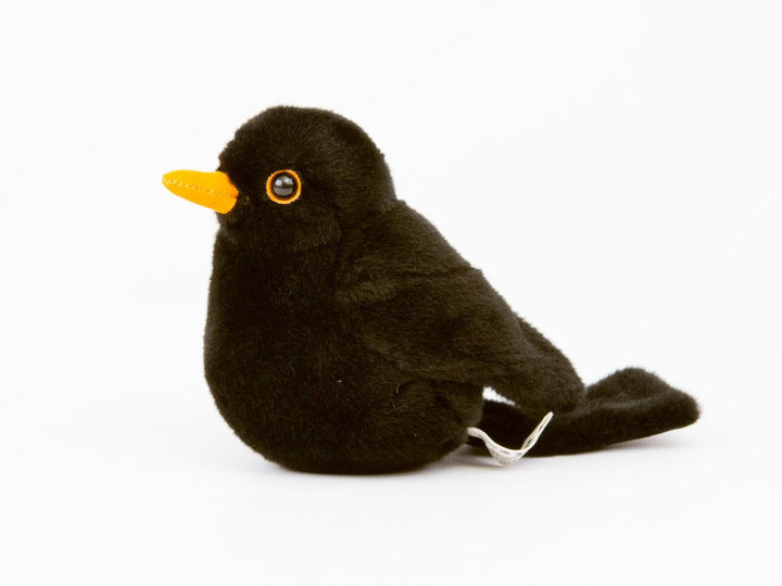 Kösen F5820 Amsel "Türilü" Kösen   